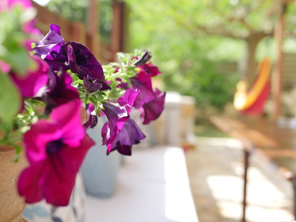 Villa Victoria Boutique Apartments Сівота Екстер'єр фото